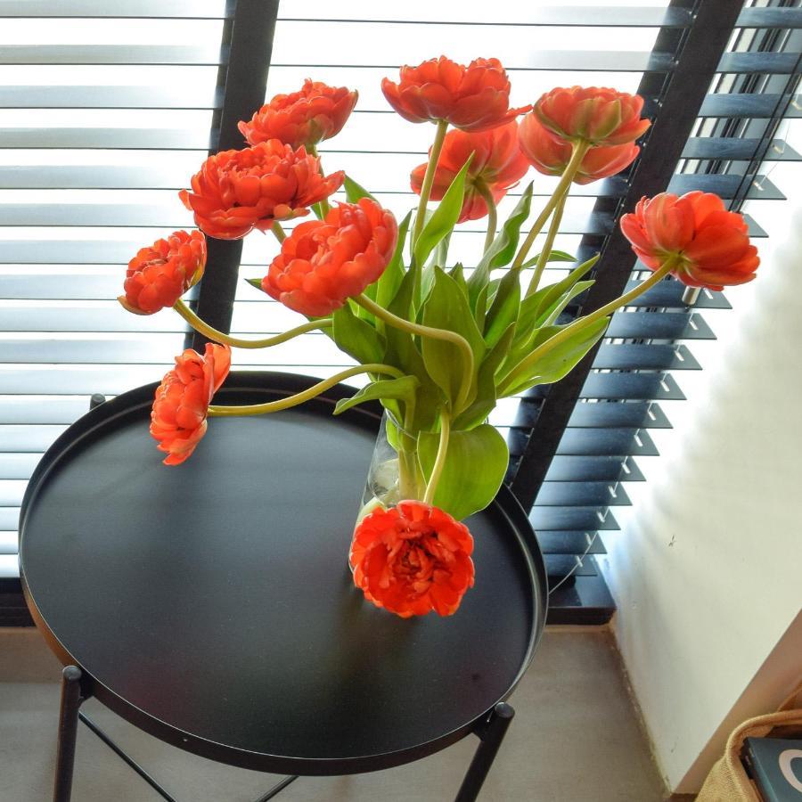 Willebrordus Bed & Breakfast Rotterdam