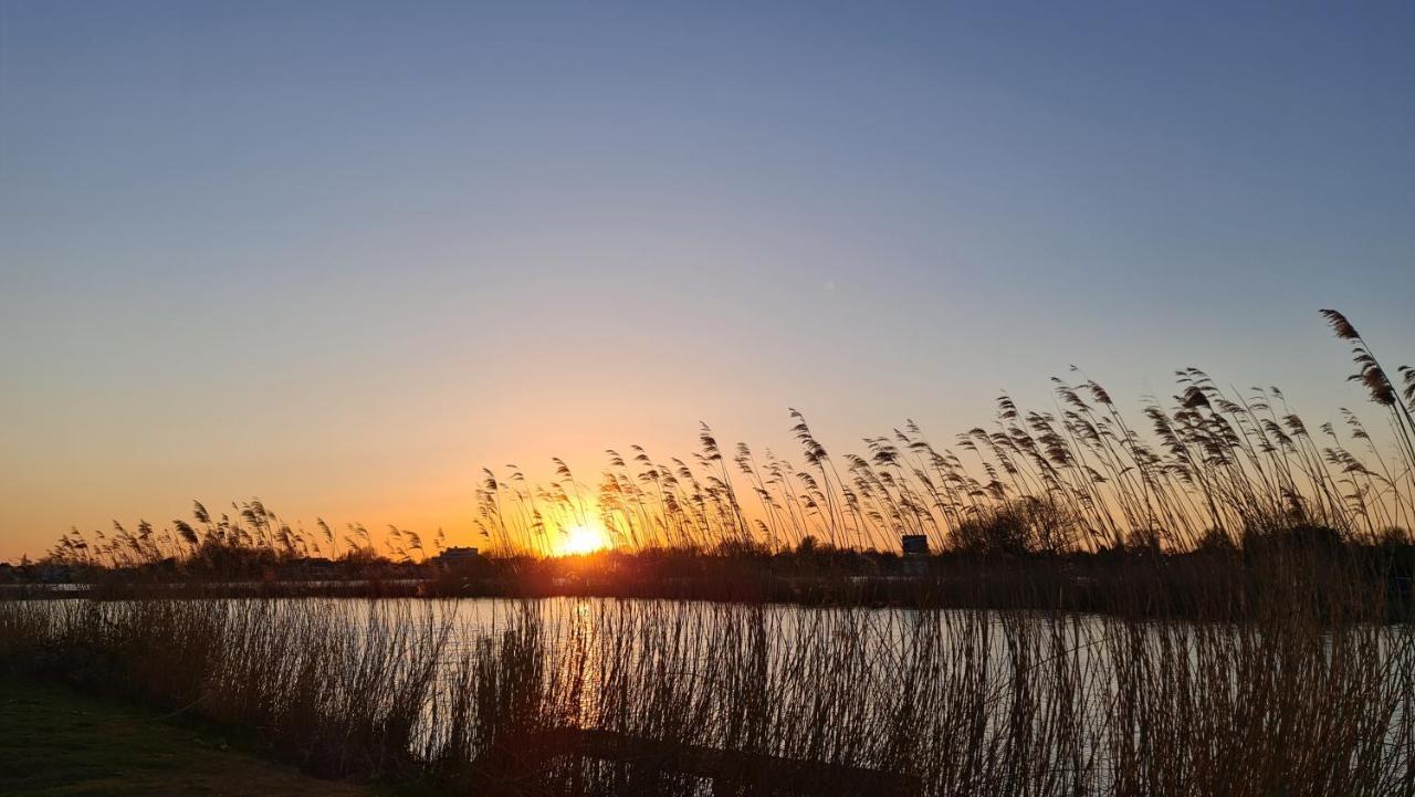 Appartement Verborgen Parel Aan De Rotte Rotterdam