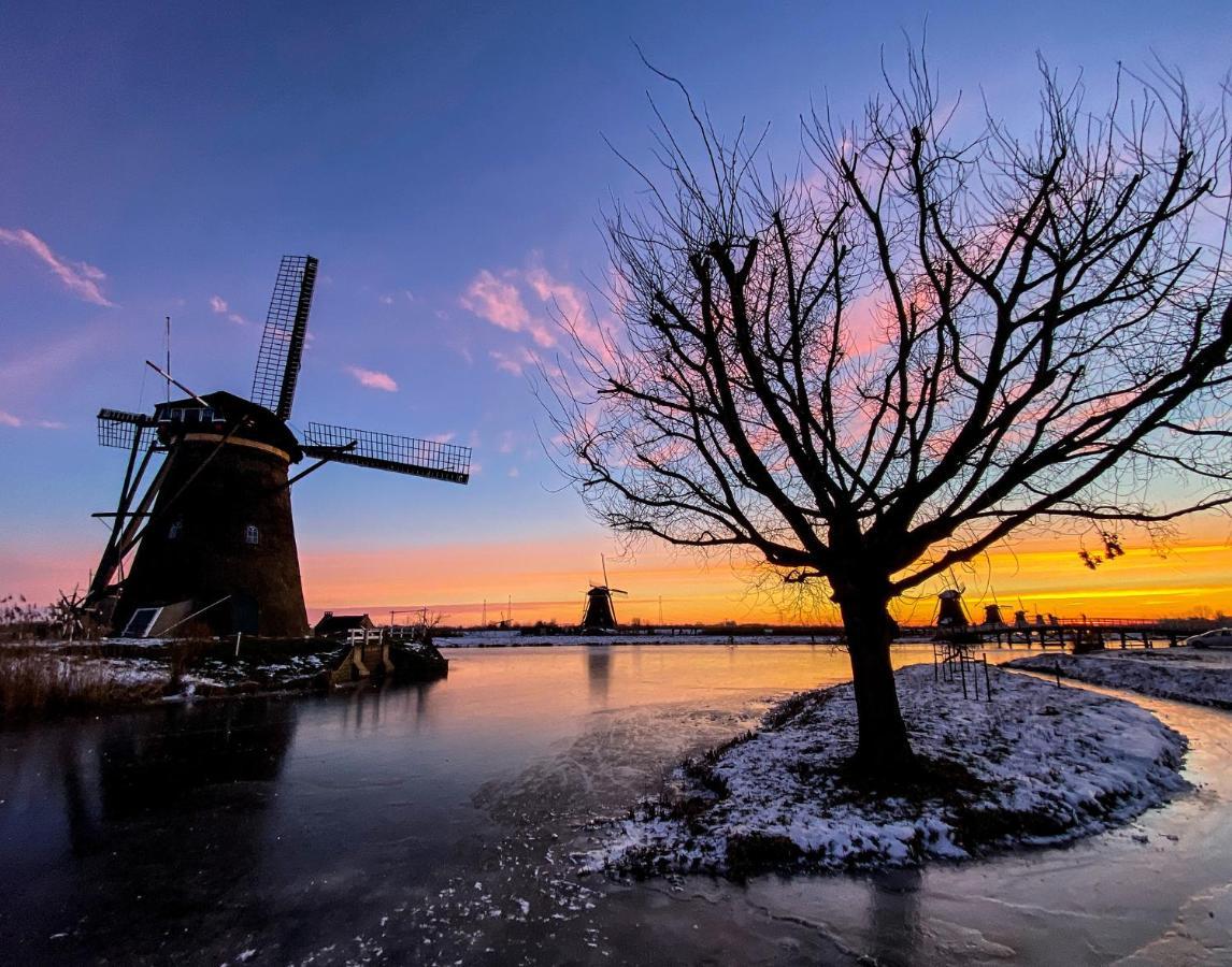 Gasthuis Rotterdam, Tinyhouse Nearby Kralingen *