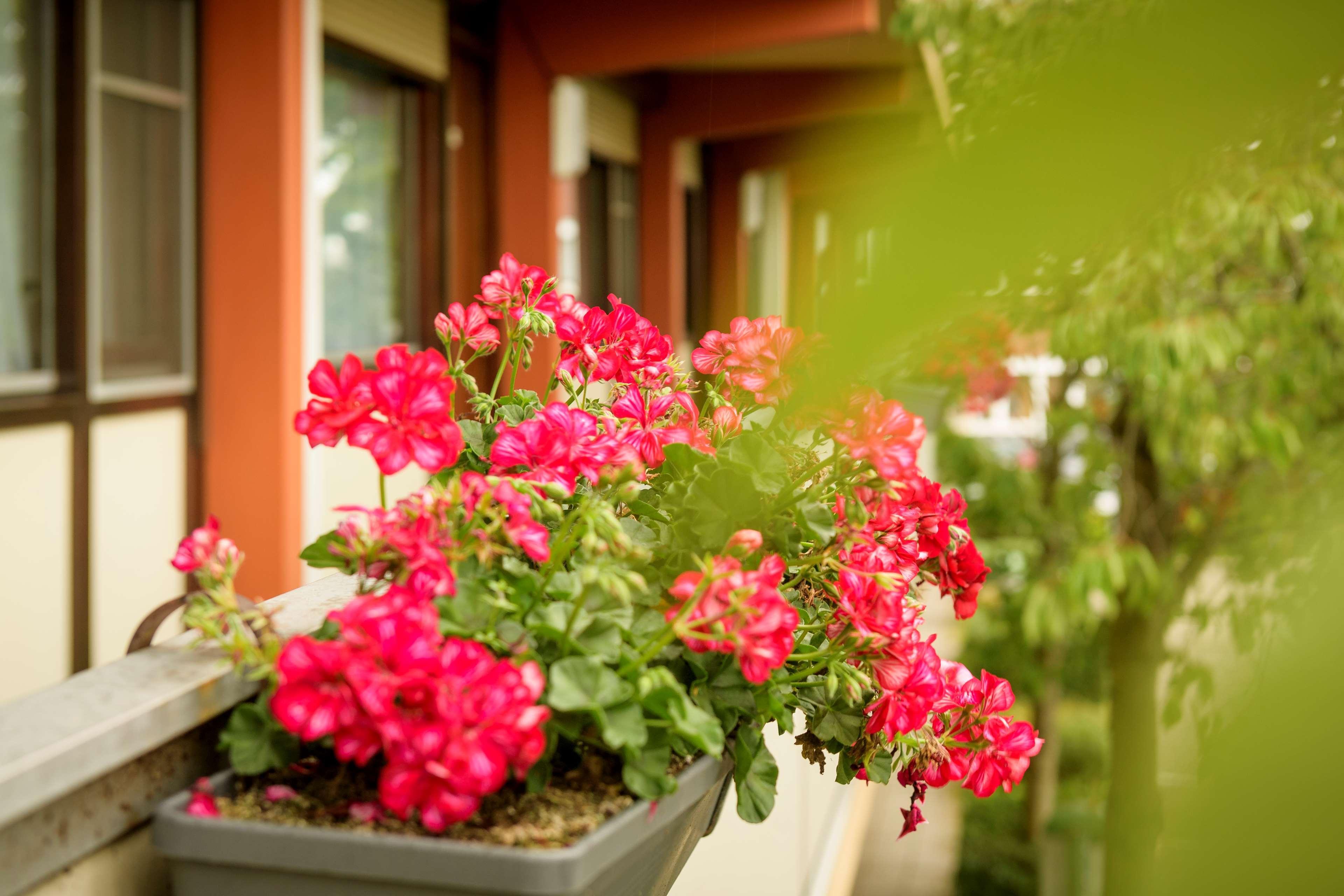 Campanile & Restaurant Oost Hotel 3*
