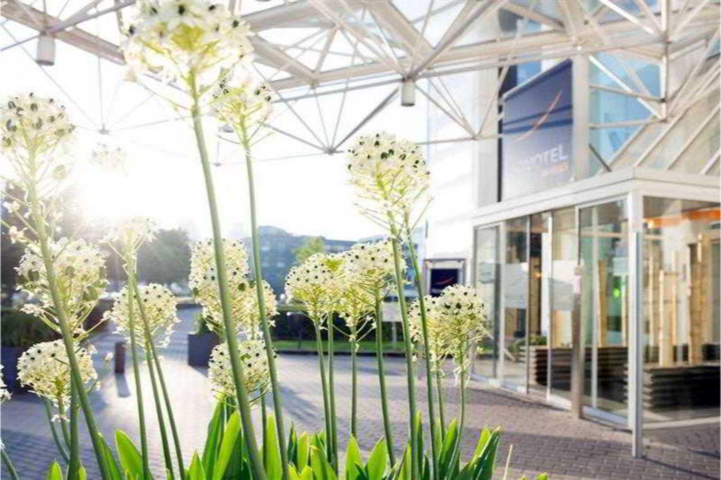 Novotel Brainpark Hotel