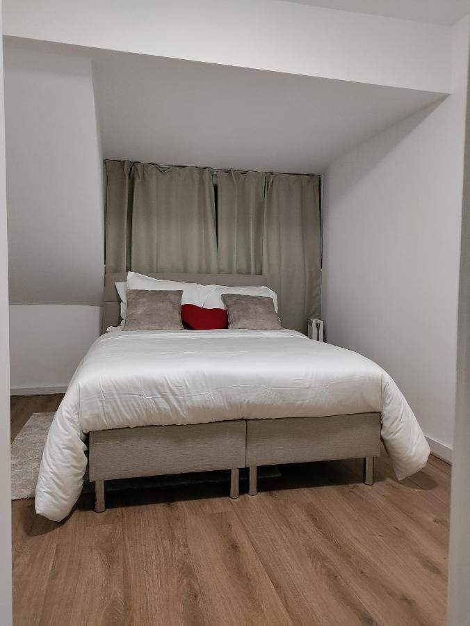 Homestay Rotterdam Accommodatie bij particulieren *