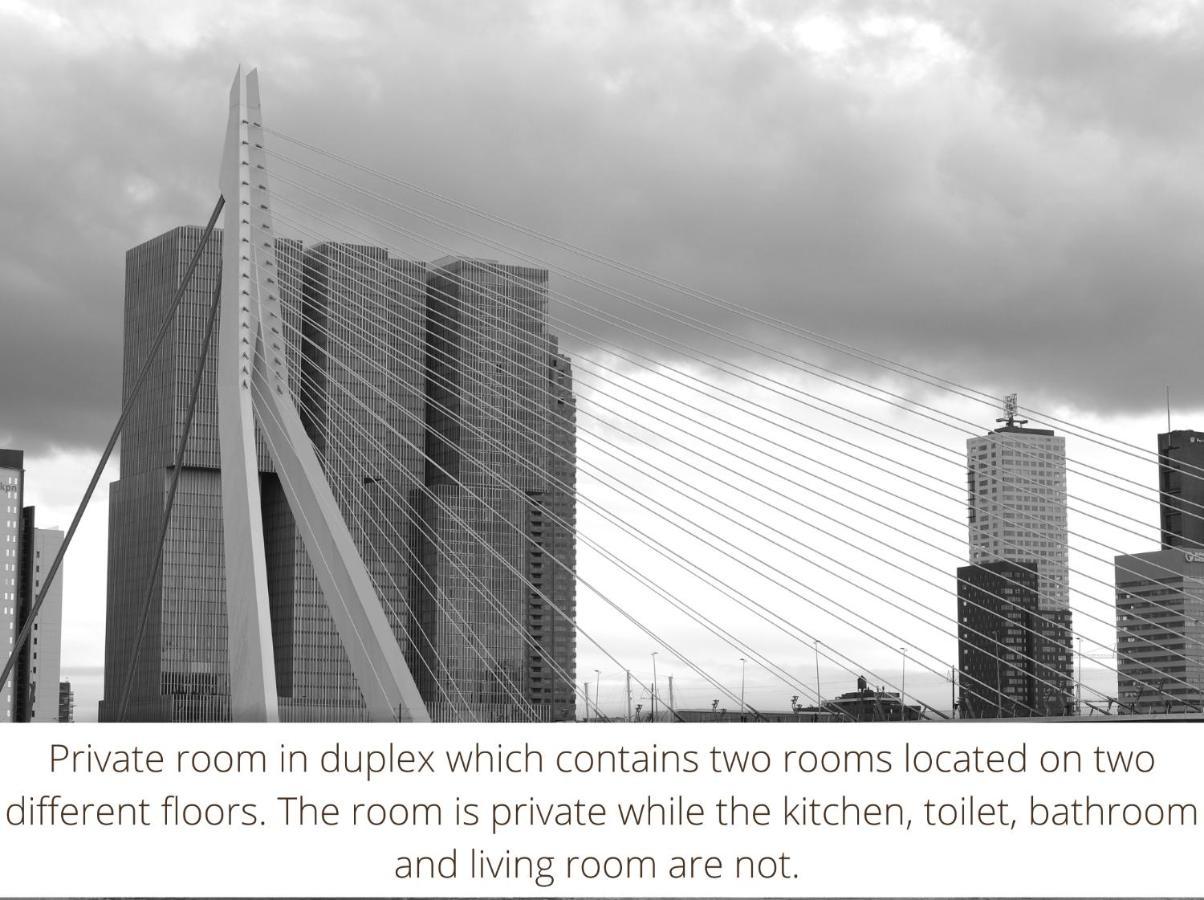 Homestay Rotterdam