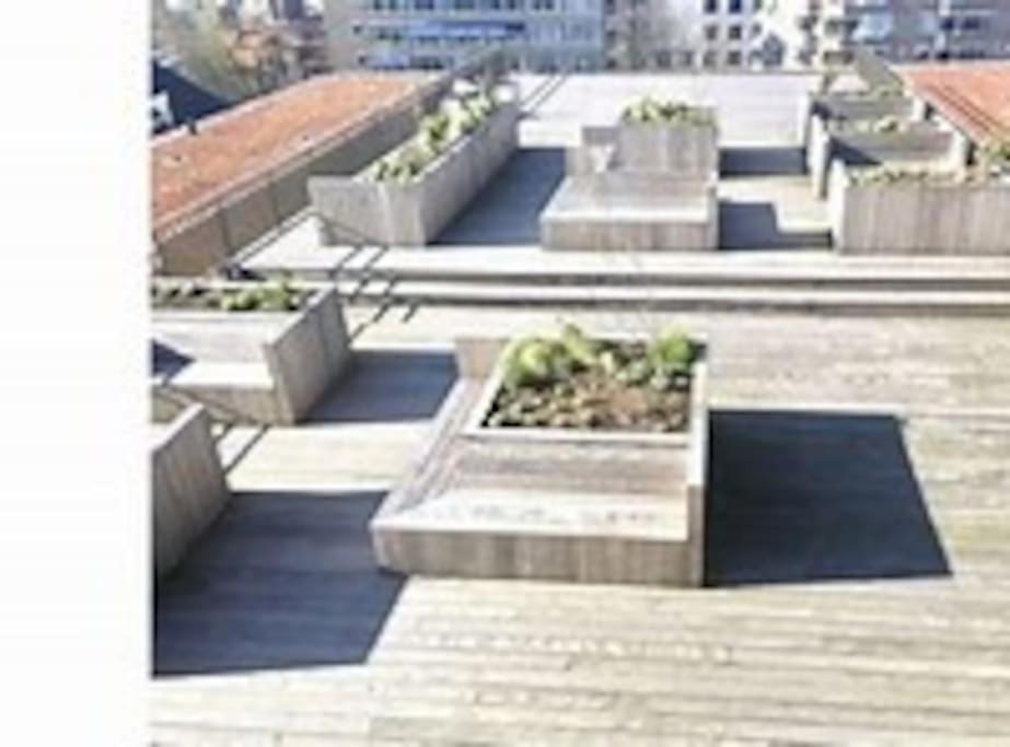 Appartement Cntr *