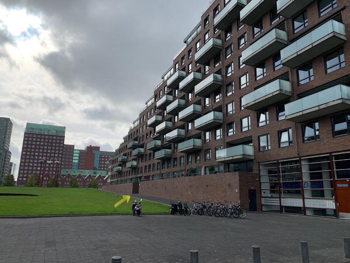 Bridge View Rotterdam