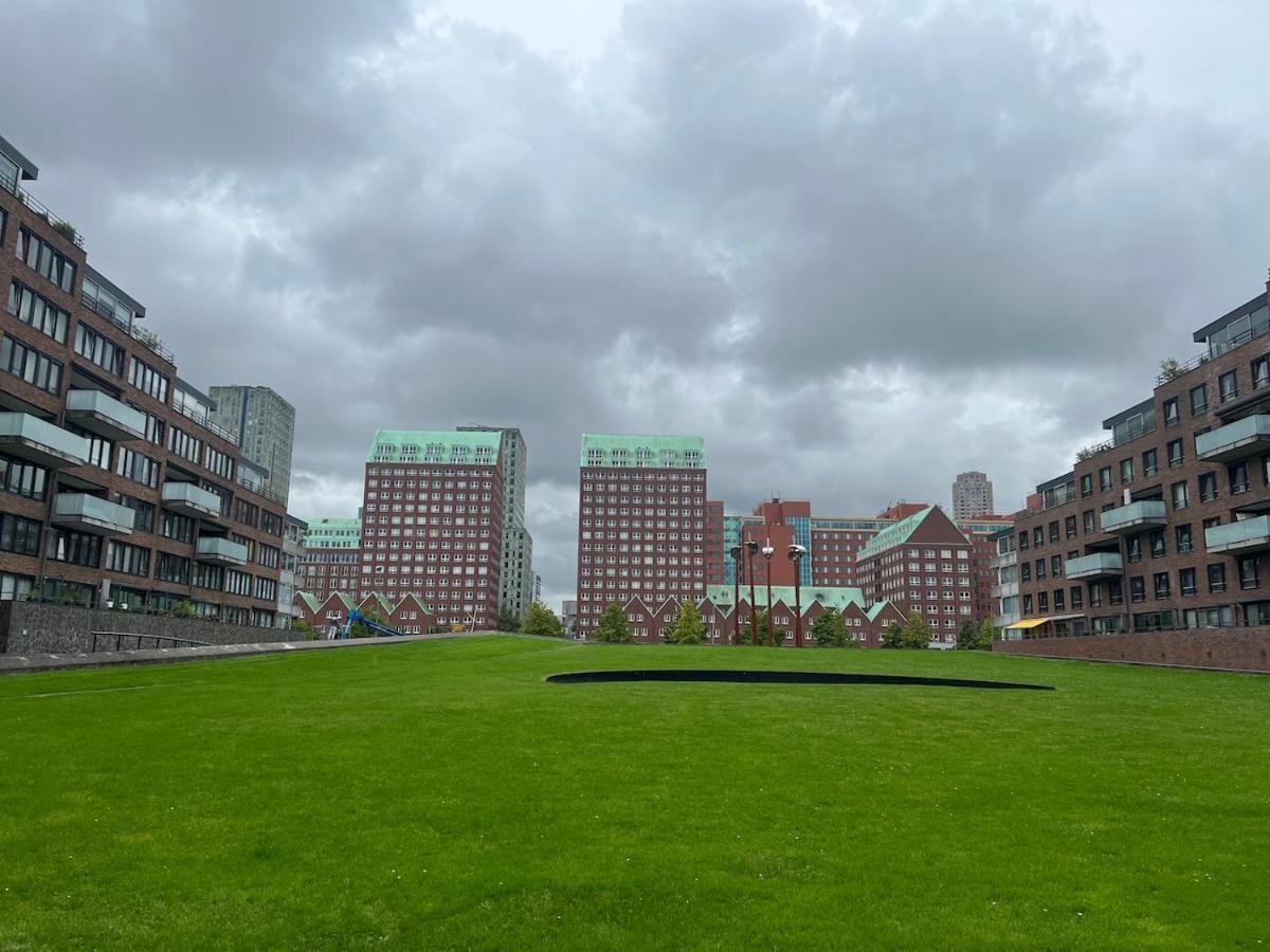 Bridge View * Rotterdam