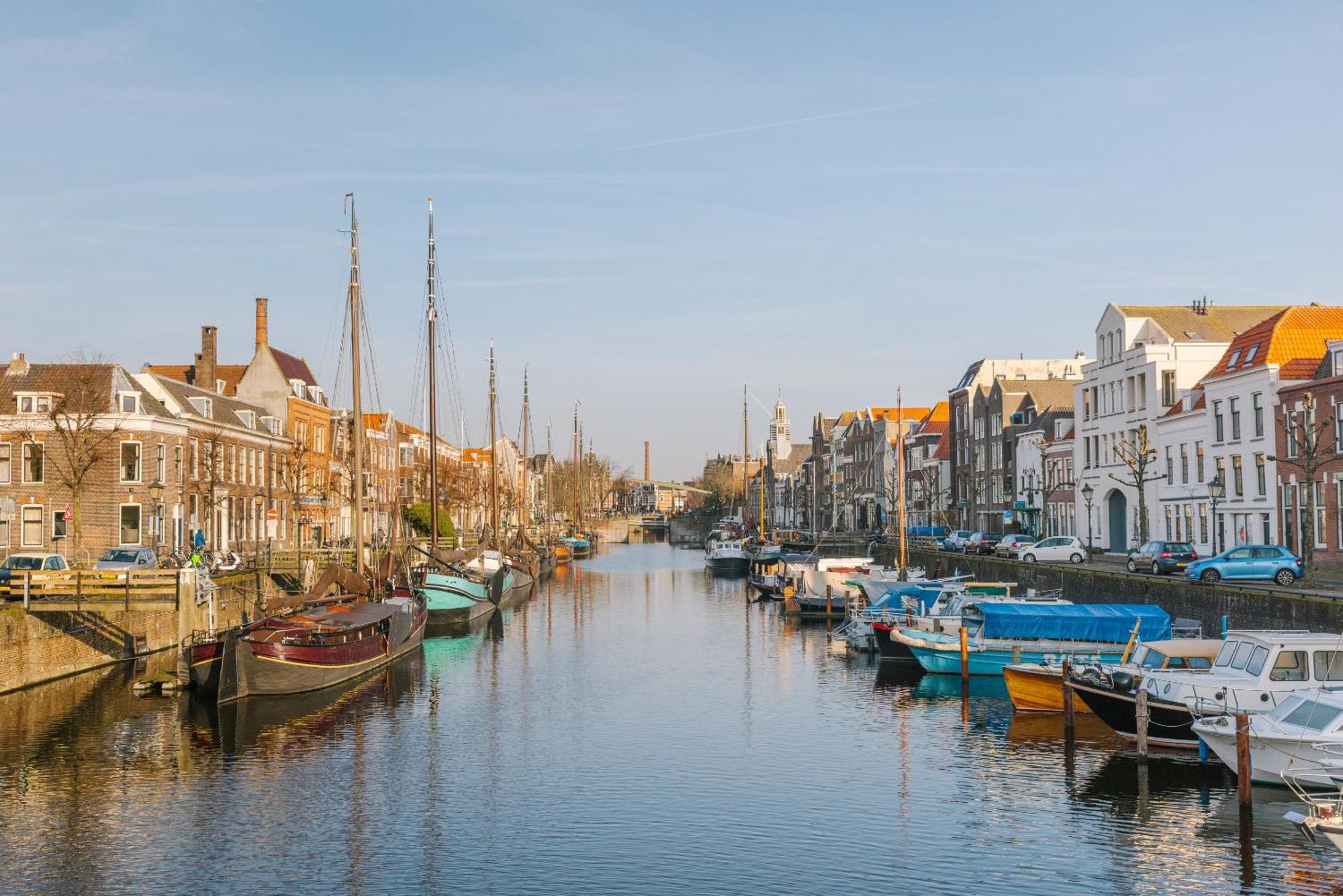 Sonder Rose * Rotterdam
