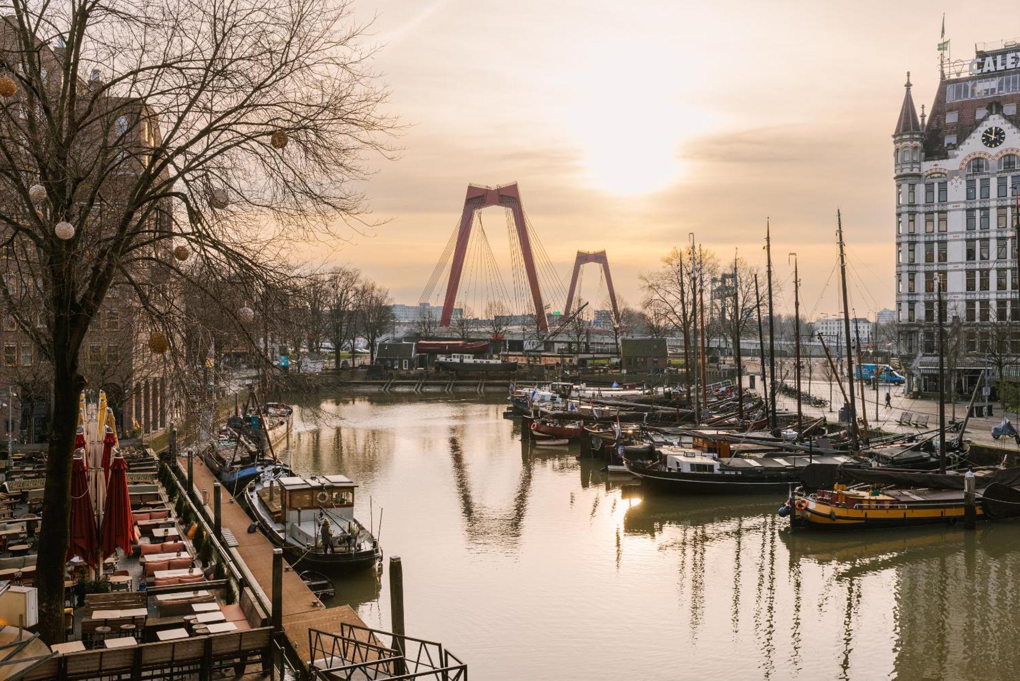 Sonder Rose Rotterdam
