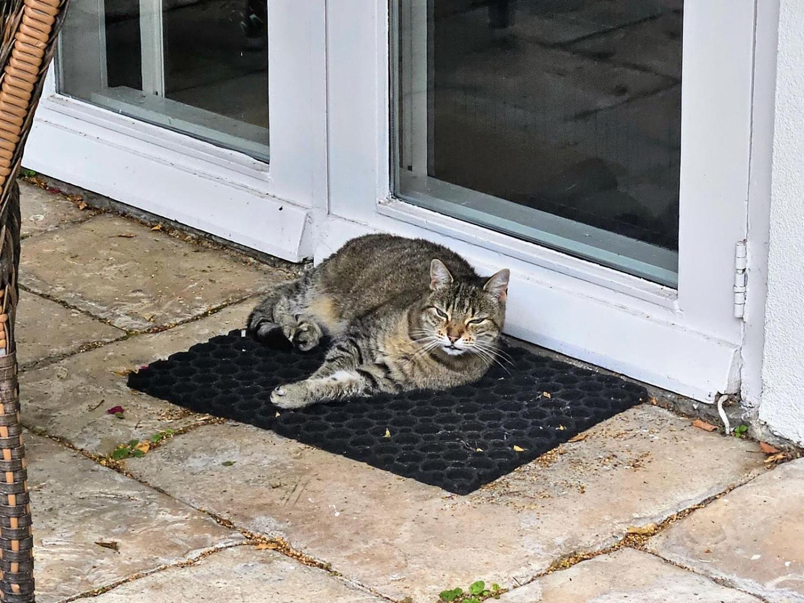 Verborgen Parel Aan De Rotte Appartement