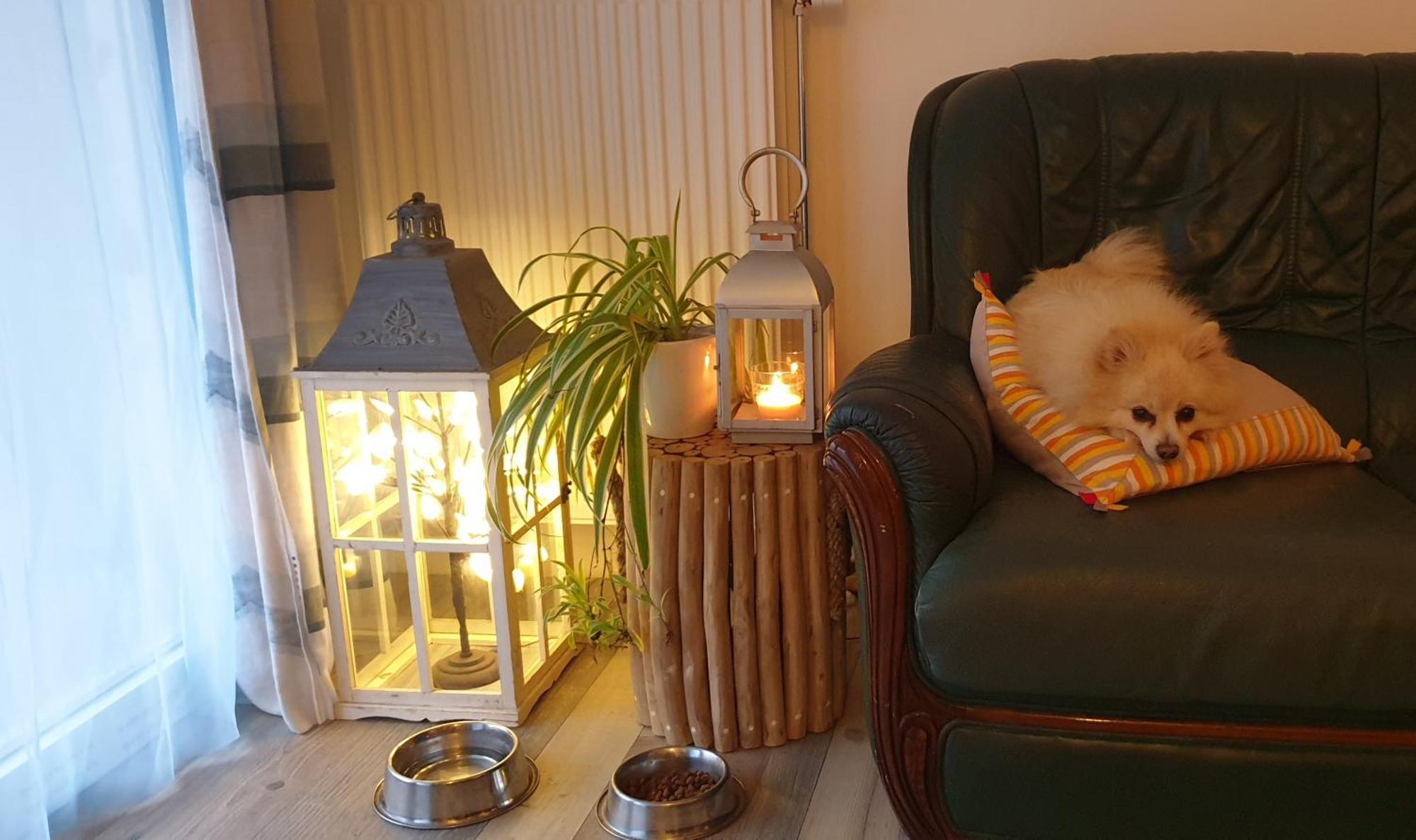 Appartement Nergens Rotterdam
