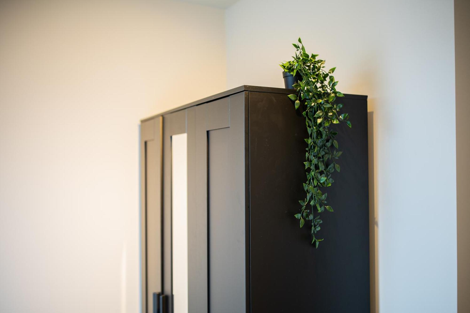 Appartement 2e 3e Pijnackerstraat Rotterdam