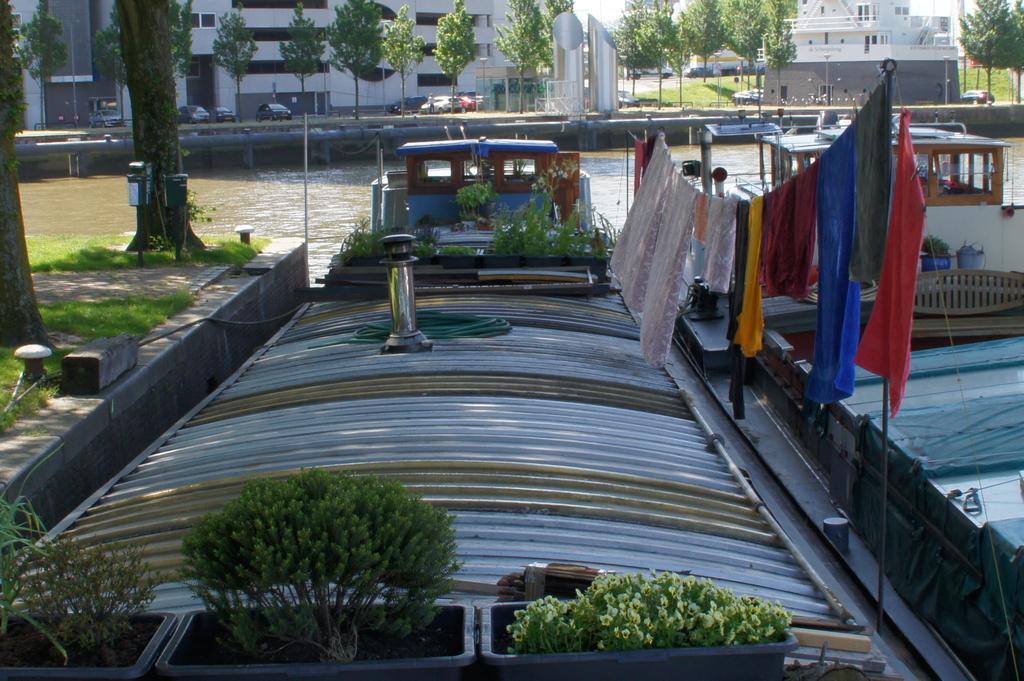 Boat & Breakfast Veinard