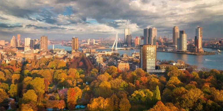 Best In Most Vibrant Street Rotterdam