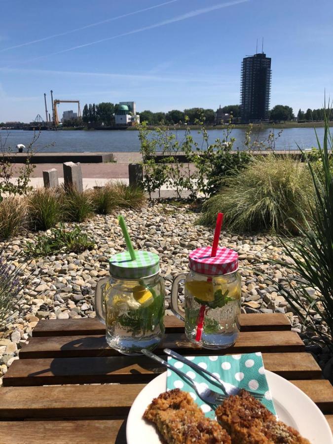 Maasview Rotterdam