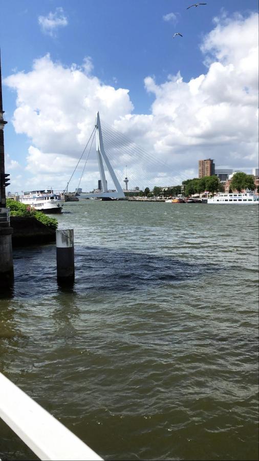 City Vibes Rotterdam