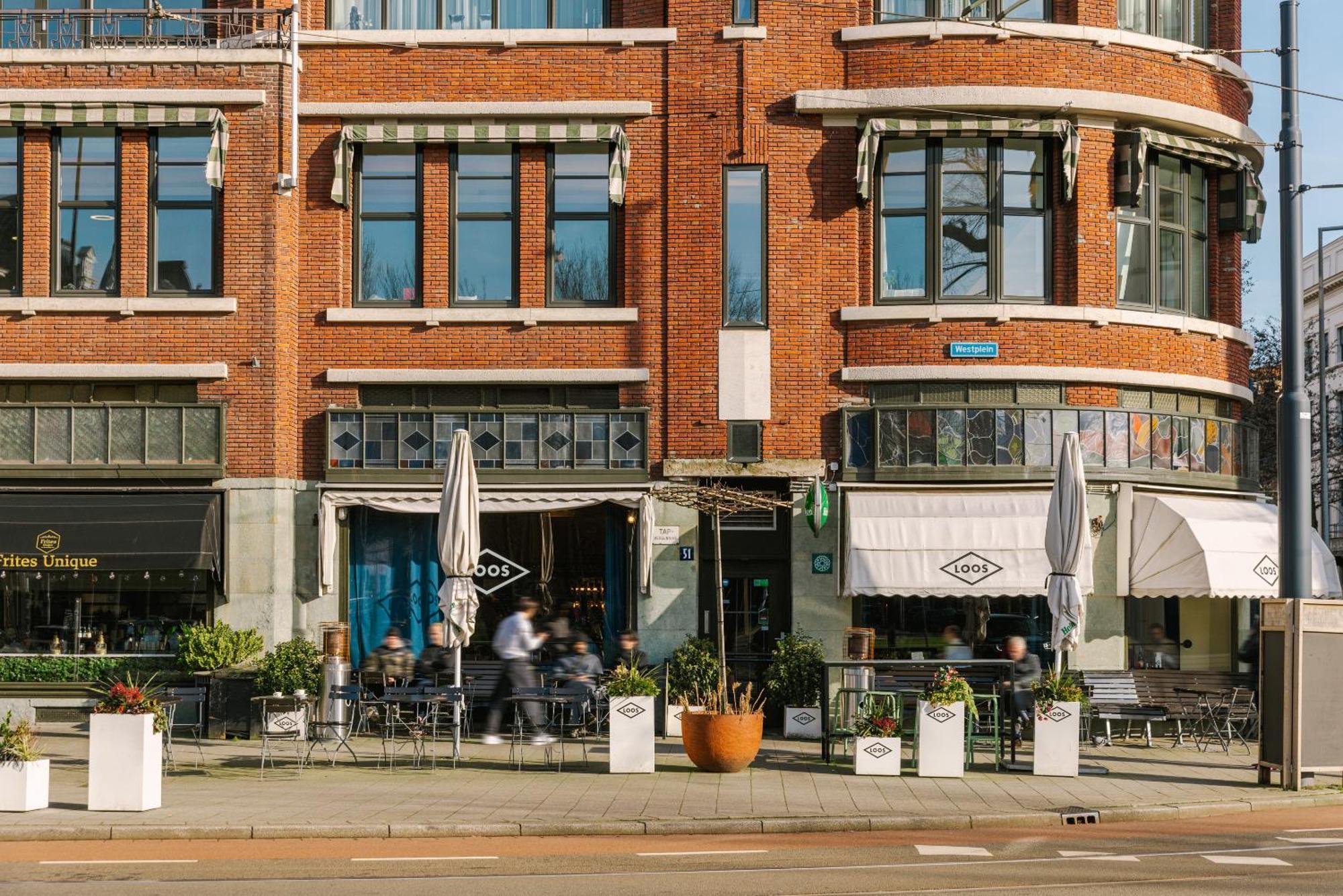 Sonder Rose * Rotterdam