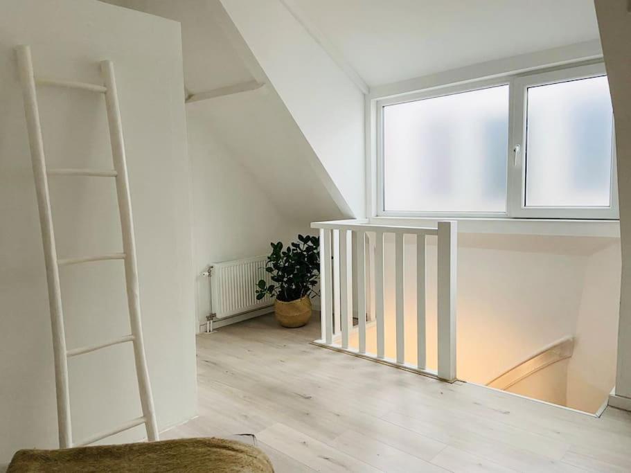 M Adam Iii Appartement