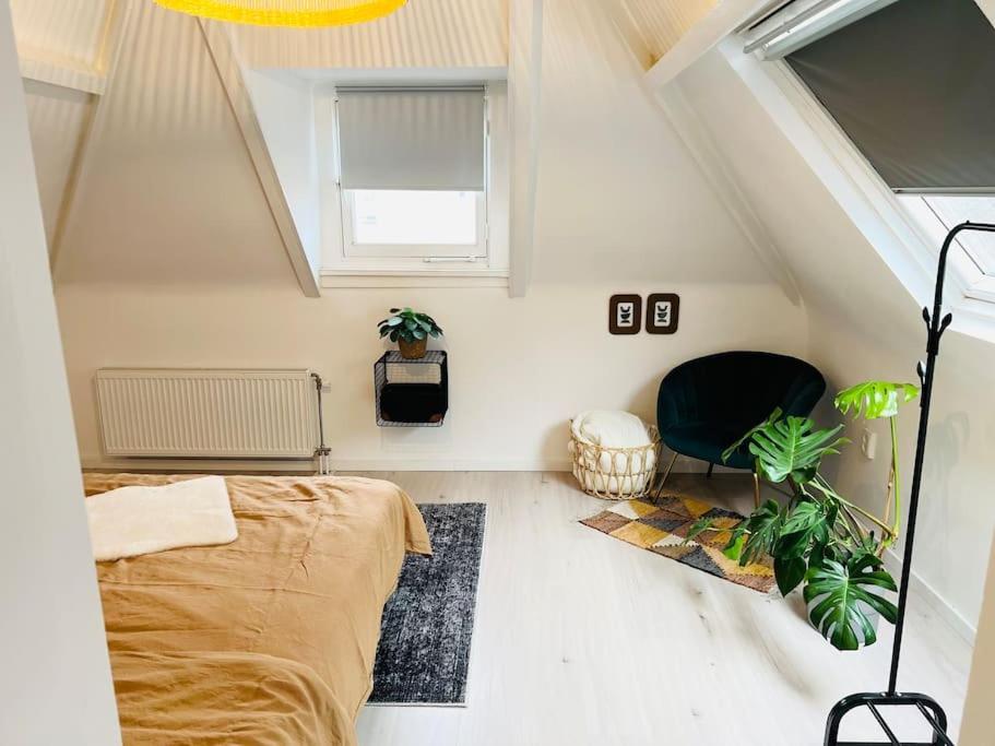 Appartement M Adam Iii Rotterdam