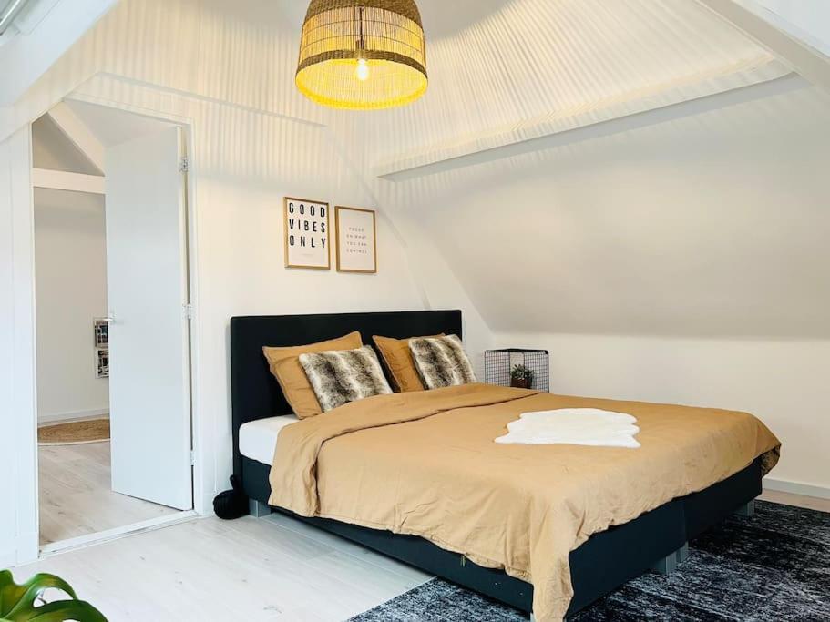 Appartement M Adam Iii Rotterdam