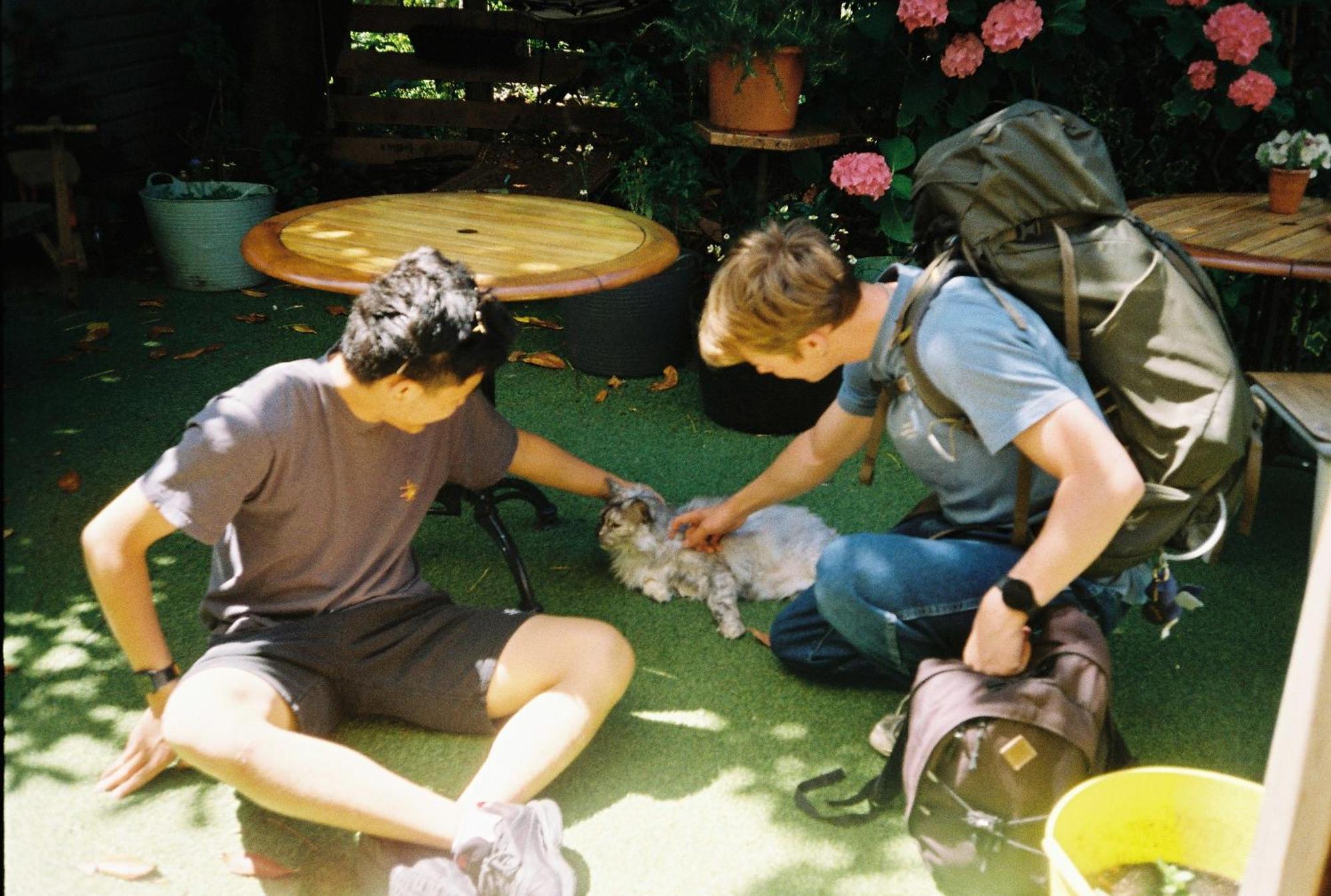 Ani&haakien Hostel