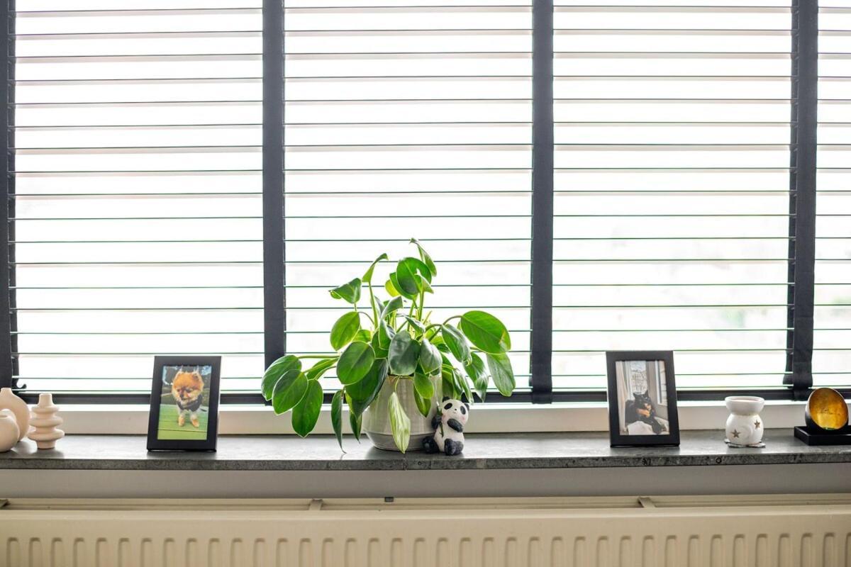 Appartement A Cosy *