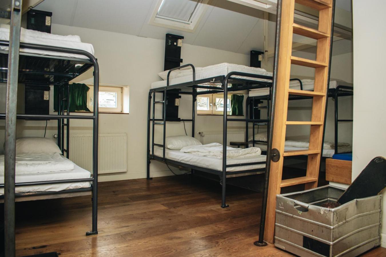 Hostel King Kong *