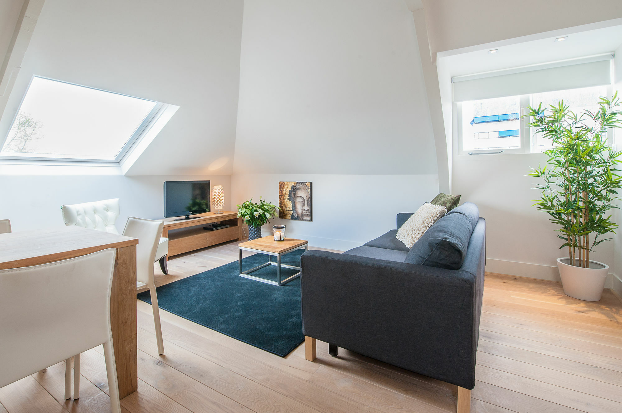Museumpark Apartment