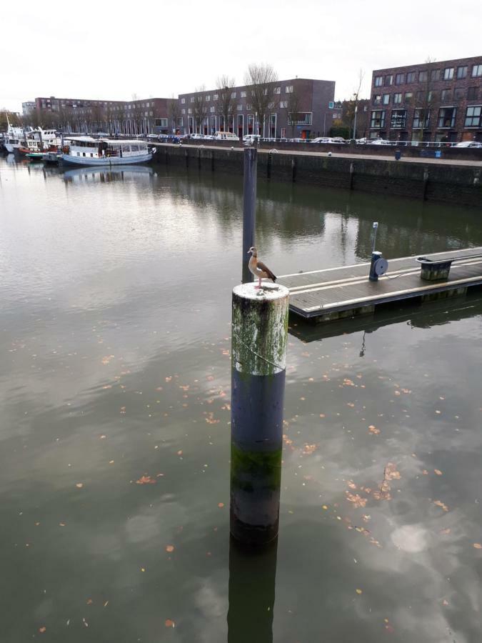 Unitas Rotterdam