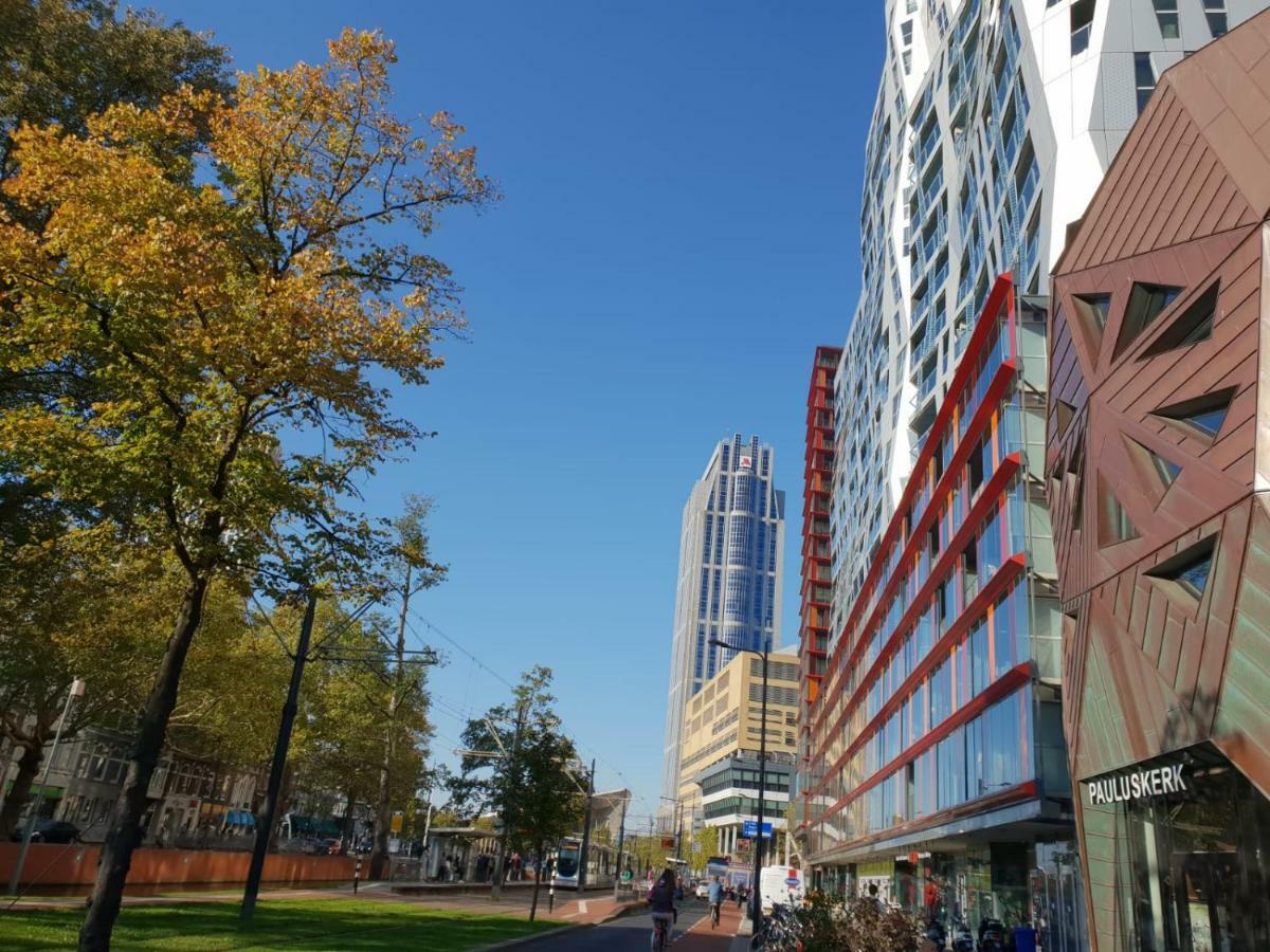Calypso Luxe * Rotterdam