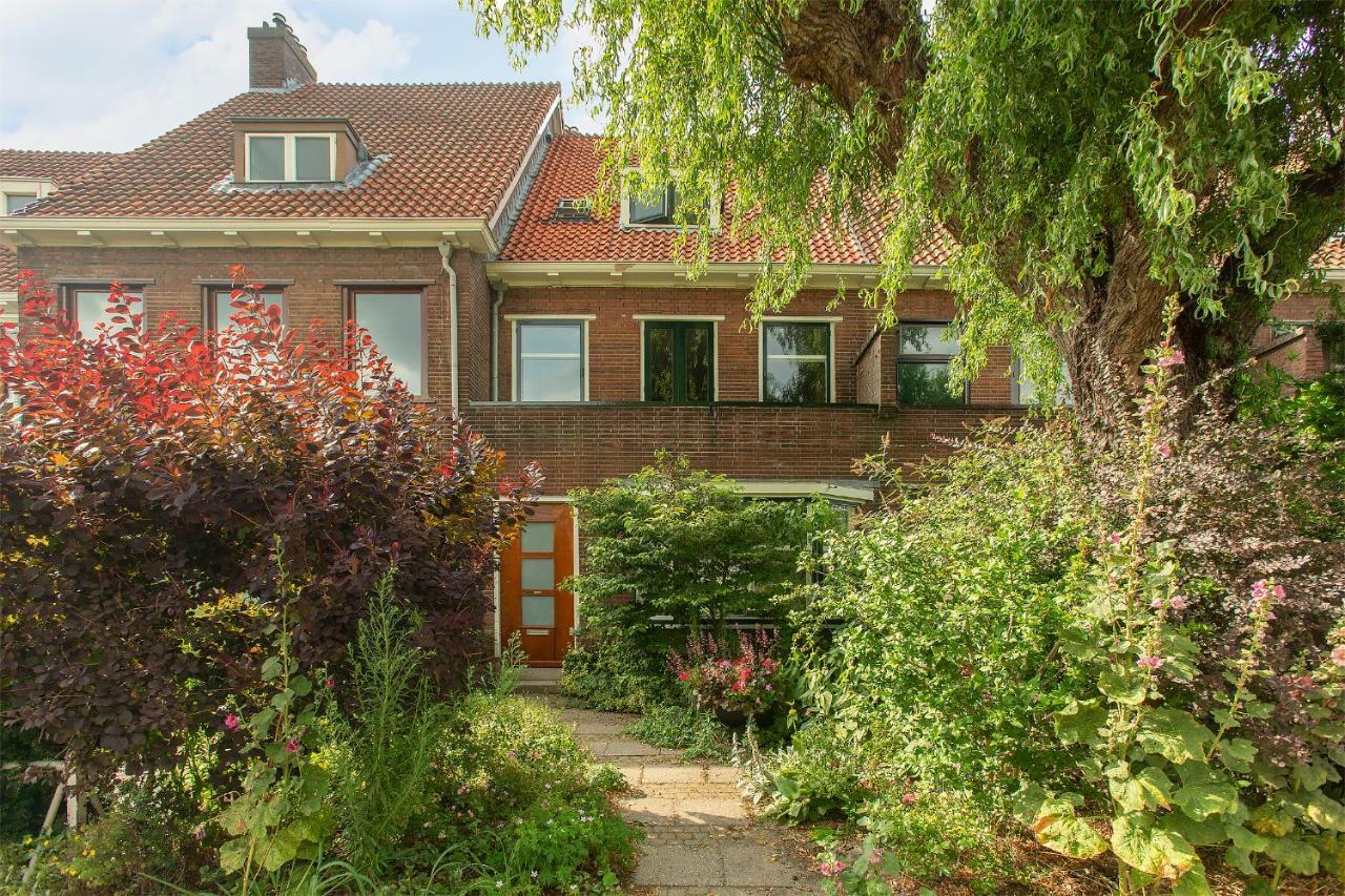 Blijdorp Rotterdam