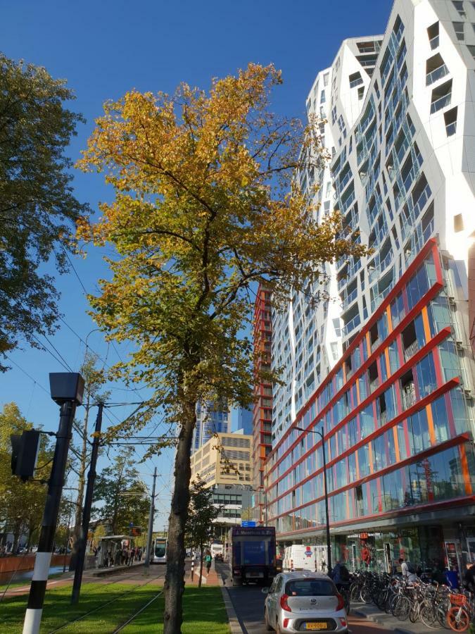 Calypso Luxe Appartement Rotterdam