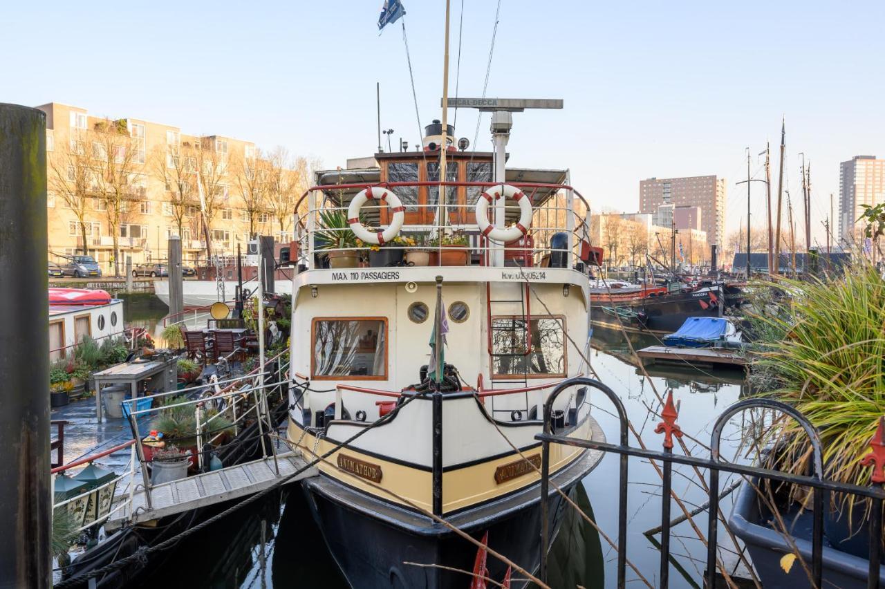 Boatapartment Animathor On Location Rotterdam