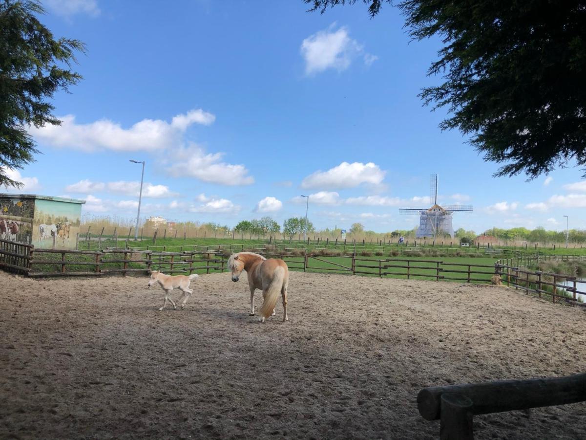 Aan De Rotte *