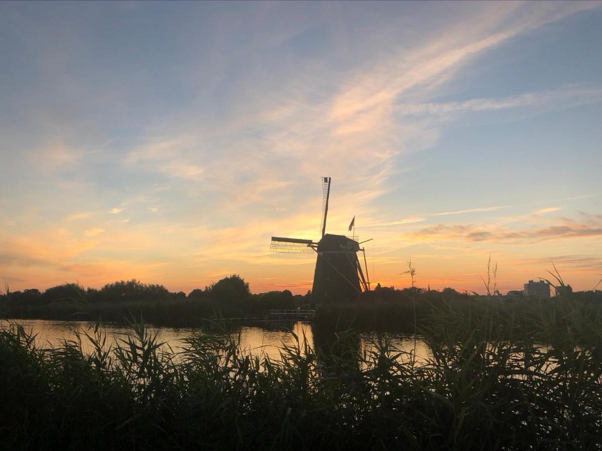 Aan De Rotte *