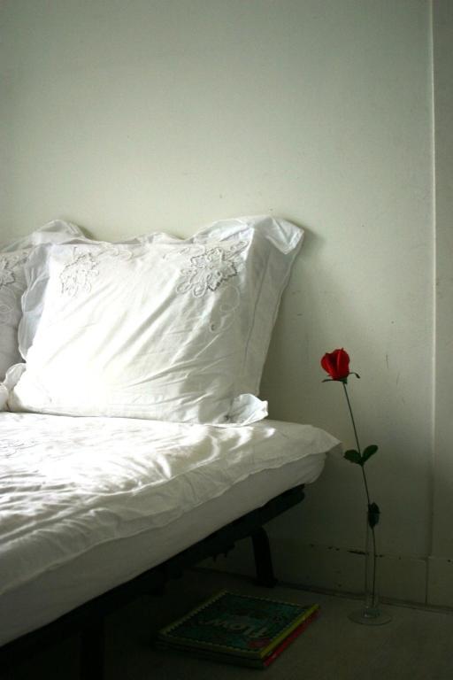 Beautysleep Bed & Breakfast Rotterdam
